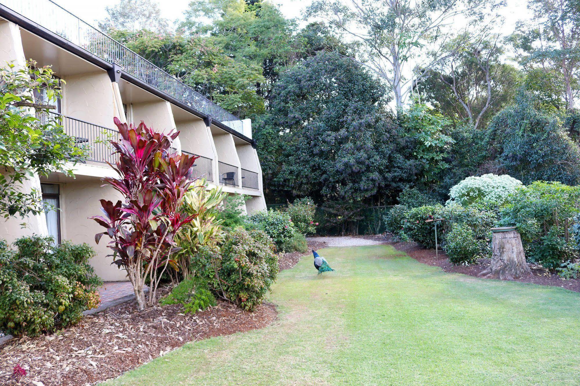 The Tamborine - Boutique Hotel Mount Tamborine Exteriér fotografie